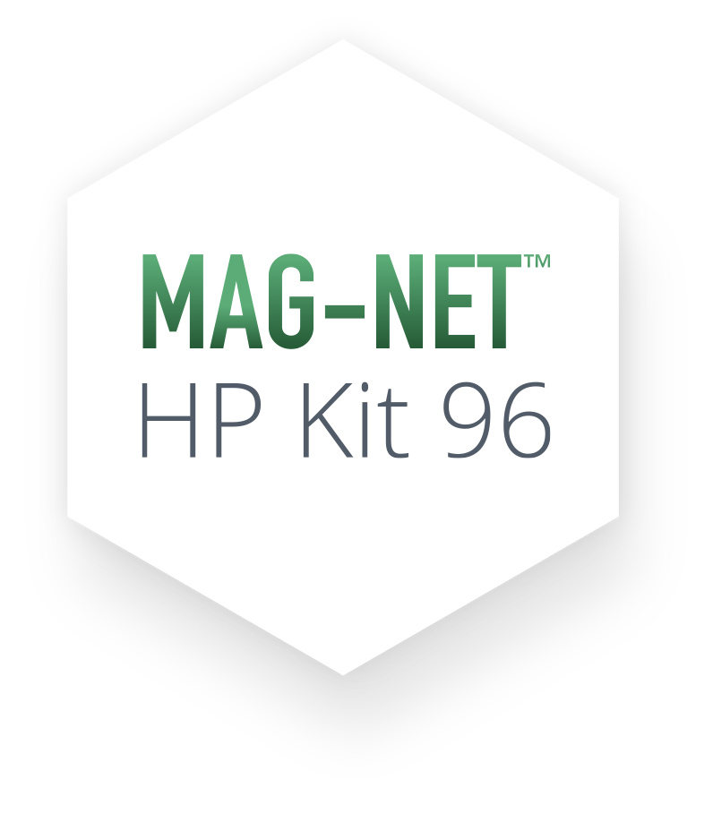 Magnet